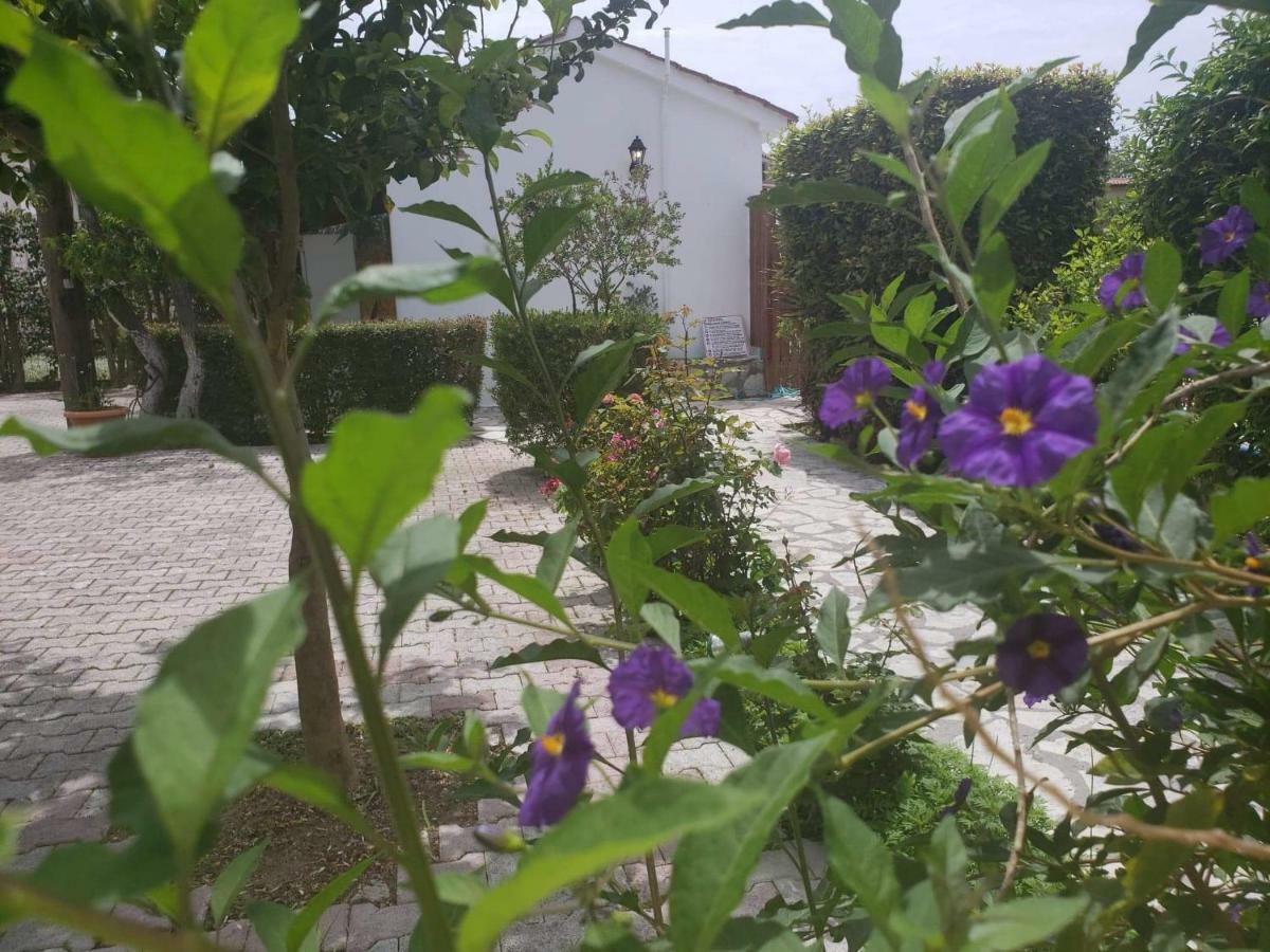 Marketos Apartments Svoronata Dış mekan fotoğraf